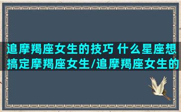 追摩羯座女生的技巧 什么星座想搞定摩羯座女生/追摩羯座女生的技巧 什么星座想搞定摩羯座女生-我的网站